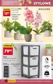 Biedronka gazetka Strona 32