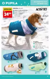Biedronka gazetka Strona 47