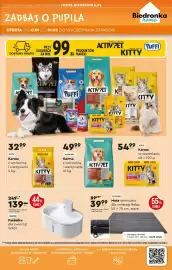 Biedronka gazetka Strona 53