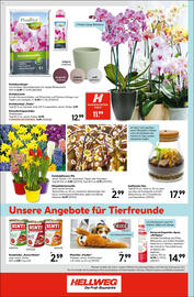 Hellweg Prospekt woche 4 Seite 16