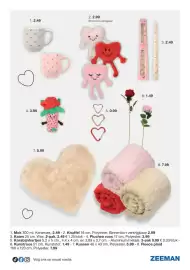 Zeeman folder Pagina 17