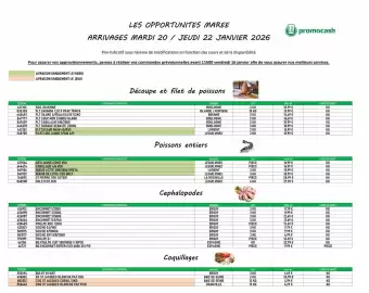 Catalogue Promocash page 1