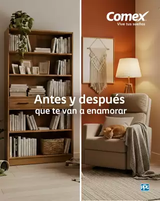 Catálogo Comex (válido hasta 31-01)