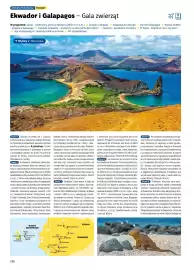 Rainbow Tours gazetka Strona 236