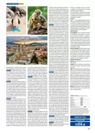 Rainbow Tours gazetka Strona 237