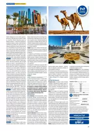 Rainbow Tours gazetka Strona 31