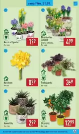 ALDI folder week 4 Pagina 27