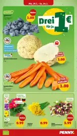 PENNY Prospekt woche 4 Seite 5