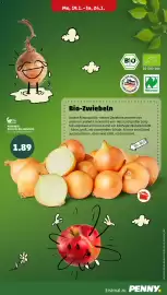 PENNY Prospekt woche 4 Seite 7