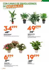 Catálogo Jardiland Página 2