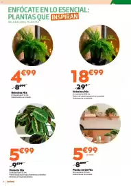 Catálogo Jardiland Página 6