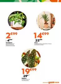 Catálogo Jardiland Página 7