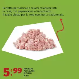 Volantino Vivo Supermercati Pagina 3