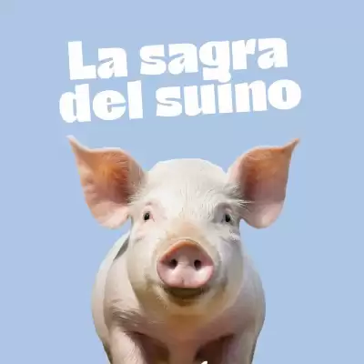 Volantino Vivo Supermercati (valido fino al 18-01)