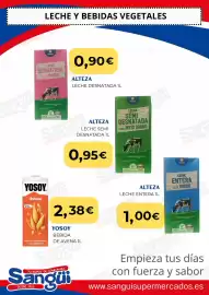 Folleto Sangüi Página 10