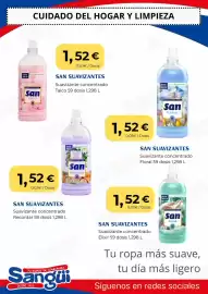 Folleto Sangüi Página 13