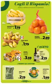 Volantino Coop Radenza Pagina 15