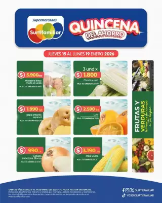 Catálogo Surtifamiliar (válido hasta 19-01)