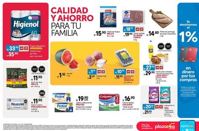 Catálogo Plaza Vea Página 2