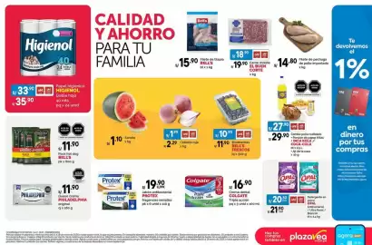 Catálogo Plaza Vea Página 2