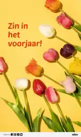 Wibra folder Pagina 10