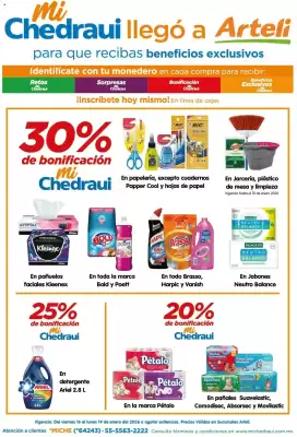 Folleto Arteli (válido hasta 20-01)