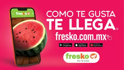 Folleto Fresko Página 13