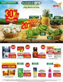 Catálogo Ara semana 3 Página 2