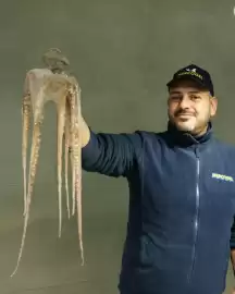 Volantino Mercogel Pagina 1