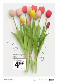 Catálogo Zeeman Página 24