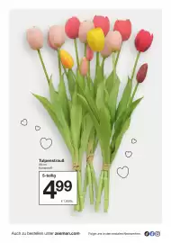 Zeeman Prospekt Seite 24