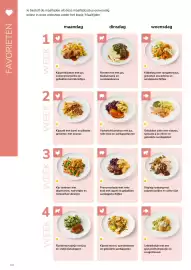 Van Hoeckel folder Pagina 8