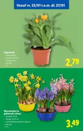 Lidl folder week 4 Pagina 57