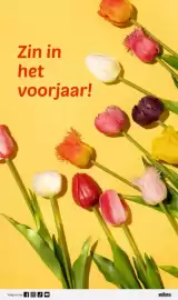 Wibra folder Pagina 10