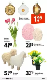 Wibra folder Pagina 11