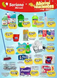 Folleto Soriana Mercado Página 11