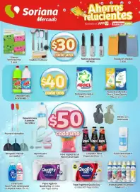Folleto Soriana Mercado Página 7