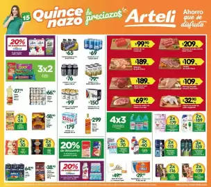 Folleto Arteli Página 3