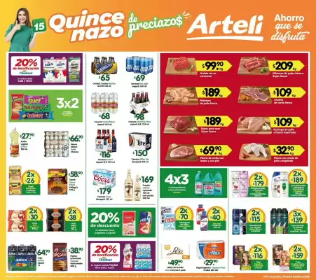 Folleto Arteli (válido hasta 19-01)