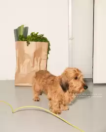 Folleto ese O ese Página 3