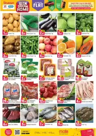 Shaklan leaflet Page 2