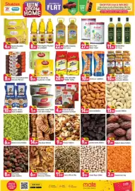 Shaklan leaflet Page 3