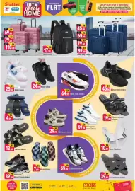 Shaklan leaflet Page 8