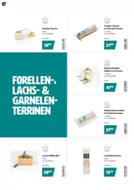 Eurogast Grissemann Flugblatt Seite 12