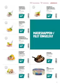 Eurogast Grissemann Flugblatt Seite 19