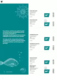 Eurogast Grissemann Flugblatt Seite 2
