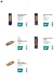 Eurogast Grissemann Flugblatt Seite 6