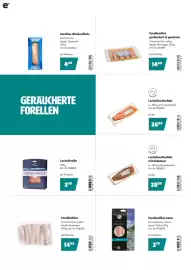 Eurogast Grissemann Flugblatt Seite 8