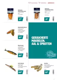 Eurogast Grissemann Flugblatt Seite 9