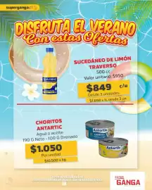 Catálogo Super Ganga Página 3